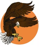 Vorschau - Mal- und Bastelvorlagen - Weisskopfseeadler Tier Motiv - Ein Raubvogel - Deckblatt