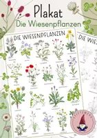 Vorschau - Stundenentwürfe - Plakat / Poster: Die Wiesenpflanzen - Die Pflanzen der Wiese mit 19 Pflanzen - Deckblatt