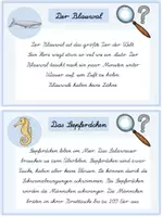Vorschau - Fördermaterial/Inklusion - Schreibschrift Abschreibkartei: Tiere unter Wasser - Seite 3
