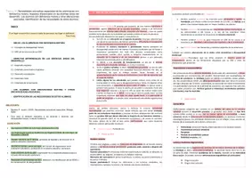 Vista previa - Unidades / Secuencias / Situaciones de Aprendizaje - Oposiciones Pedagogía Terapéutica: esquema tema 18 - página 1