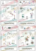 Vorschau - Stationenlernen - Materialpaket: *Experimente* Sammlung im Sketchnote-Stil - Seite 2
