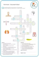Vorschau - Arbeitsblätter - Hormone – 5x Aktivitäten und Spiele - Seite 2