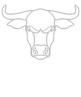 Vorschau - Mal- und Bastelvorlagen - Stier Tier Motiv - Ein Bild zum Ausmalen - Deckblatt