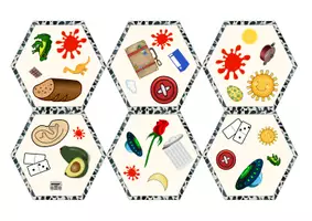 Vorschau - Spiele - Schnapp mich | Finde den Zwilling | Wörter mit O o | Kartenspiel - Seite 2