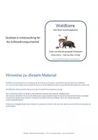 Vorschau - Spiele - Lese Merkspiel Tiere im Wald - Memo Spiele - Merkspiel - Bild-Wort-Zuordnung - Seite 1
