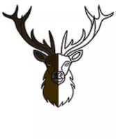 Vorschau - Poster - Hirsch Waldtier Design - Ein Säugetier aus dem Wald - Deckblatt