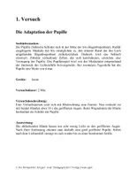 Vorschau - Arbeitsblätter - Sinn 1 Auge und Ohr - Seite 3