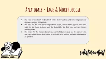 Vorschau - Stundenentwürfe - Das menschliche Herz verstehen - Lernkarten & Schülertexte - Seite 3