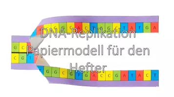 Vorschau - Arbeitsblätter - Papiermodell DNA-Replikation - Deckblatt