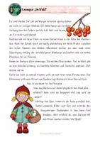 Vorschau - Arbeitsblätter - Lesespur Im Wald, differenziert, Lesen #edukisummer - Seite 1