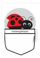 Vorschau - Anderer Materialtyp - Marienkäferklasse Marienkäfer Namensschild Schulanfang - Seite 3