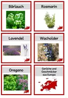 Vorschau - Bildkarten - Gerüche/Geschmäcker Wort-Bildkarten - Seite 3