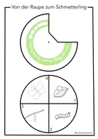 Vorschau - Mal- und Bastelvorlagen - Drehscheibe "Von der Raupe bis zum Schmetterling" - Deckblatt