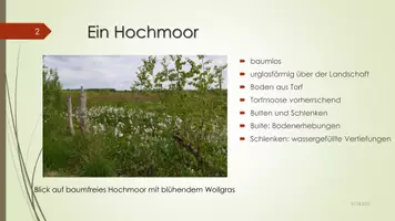 Vorschau - Präsentationen/Tafelbilder - Das Hochmoor - Seite 1