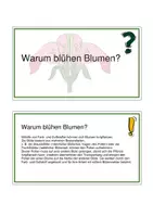 Vorschau - Präsentationen/Tafelbilder - 5-Minuten Pflanzenwelt - Seite 2