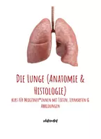 Vorschau - Stundenentwürfe - Lernkarten & Präsentation: Lunge - Arbeitsheft - Seite 1