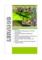 Vorschau - Arbeitsblätter - Materialpaket Lernjobs - Deckblatt
