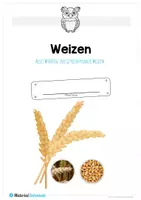 Vorschau - Arbeitsblätter - Mega-Bundle: 8 Materialpakete Getreide (131 Arbeitsblätter) - Seite 2