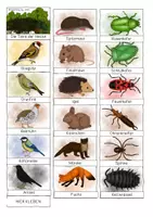Vorschau - Stationenlernen - Leporello - Die Tiere der Hecke - Seite 1