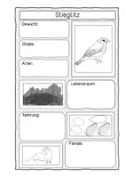 Vorschau - Arbeitsblätter - Steckbrief- Tiere der Hecke - Seite 1