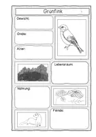 Vorschau - Arbeitsblätter - Steckbrief- Tiere der Hecke - Seite 2