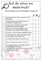 Vorschau - Arbeitsblätter - Waldregeln und Quiz - Seite 2