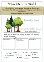 Vorschau - Arbeitsblätter - Wald: Stockwerke und Jahresringe von Bäumen - Seite 1