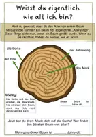 Vorschau - Arbeitsblätter - Wald: Stockwerke und Jahresringe von Bäumen - Seite 2