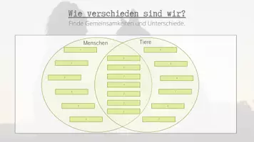 Vorschau - Arbeitsblätter - Mensch und Tier - Unterschiede und Tierschutzgesetze - Seite 2
