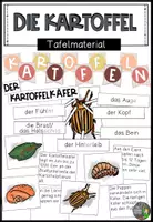Vorschau - Poster - Der Kartoffelkäfer - Tafelmaterial - Deckblatt