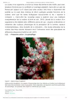 Aperçu - Texte - Fonctions adaptatives et évolution des couleurs des Animaux - Planet-Vie - Page 2