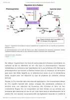 Aperçu - Texte - Les effets du changement climatique sur la croissance des plantes - Planet-Vie - Page 3