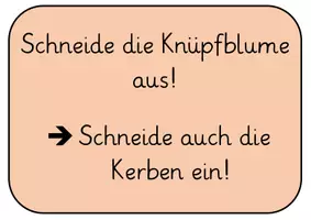 Vorschau - Mal- und Bastelvorlagen - Armband knüpfen mit der Knüpfblume (Doppelstunde und als Differenzierung) - Seite 3