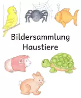 Vorschau - selbst erstellte Cliparts/Grafiken - Bildersammlung Haustiere - Deckblatt