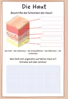 Vorschau - Arbeitsblätter - 5 Sinne: Haut Erklärung und Beschriftung - Seite 2