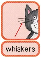 Vorschau - Bildkarten - Describing Pets - Flashcards - Bild- und Wortkarten Bodyparts + Adjektive - Seite 2