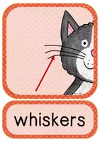 Vorschau - Stundenentwürfe - Lesson idea: Describing Pets - Writing Riddles - Guessing Game - Seite 2