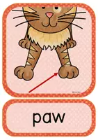 Vorschau - Stundenentwürfe - Lesson idea: Describing Pets - Writing Riddles - Guessing Game - Seite 3