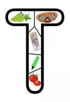 Vorschau - Spiele - Buchstabenpuzzle "T" mit Anlauten - 2-fach differenziert - DaZ / Deutsch - Seite 2