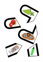 Vorschau - Spiele - Buchstabenpuzzle "T" mit Anlauten - 2-fach differenziert - DaZ / Deutsch - Seite 3