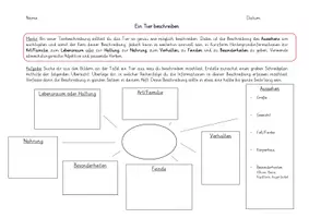 Vorschau - Arbeitsblätter - Tierbeschreibungen, Deutsch Klasse 5 - Seite 3