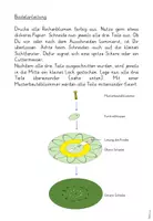 Vorschau - Spiele - Rechenblumen Addition im Zahlenraum bis 12 - Seite 2
