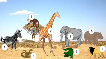 Vorschau - Arbeitsblätter - Lesespur auf Englisch: Find the way - Wild animals - Seite 1
