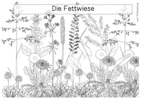 Vorschau - Arbeitsblätter - Die Fettwiese - Übersichtsblatt - Seite 2