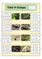 Vorschau - Fördermaterial/Inklusion - Klammerkarten Tiere in Europa Wortschatz - Seite 2