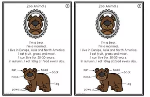 Vorschau - Arbeitsblätter - Zoo Animals A-Z - Bear Lapbook - Seite 2
