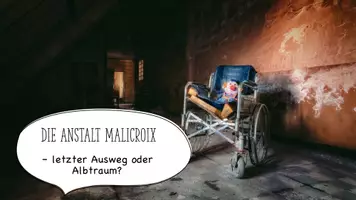 Vorschau - Stundenentwürfe - Arbeitsblatt zu Marie-Aude Murail: Simpel - Malicroix - Seite 1