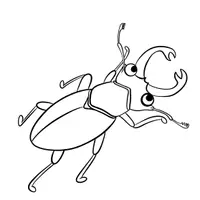 Vorschau - Mal- und Bastelvorlagen - Insekten Cliparts Outline (Comicstil) - Seite 2