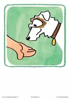 Vorschau - Bildkarten - Hund im Kindergarten, die grundlegende Umgangsformen - Seite 1