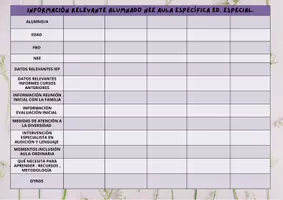 Vista previa - Para docentes: organización, planificación y formación - REGISTRO INFORMACIÓN ALUMNADO NEE AULA ESPECÍFICA - página 1